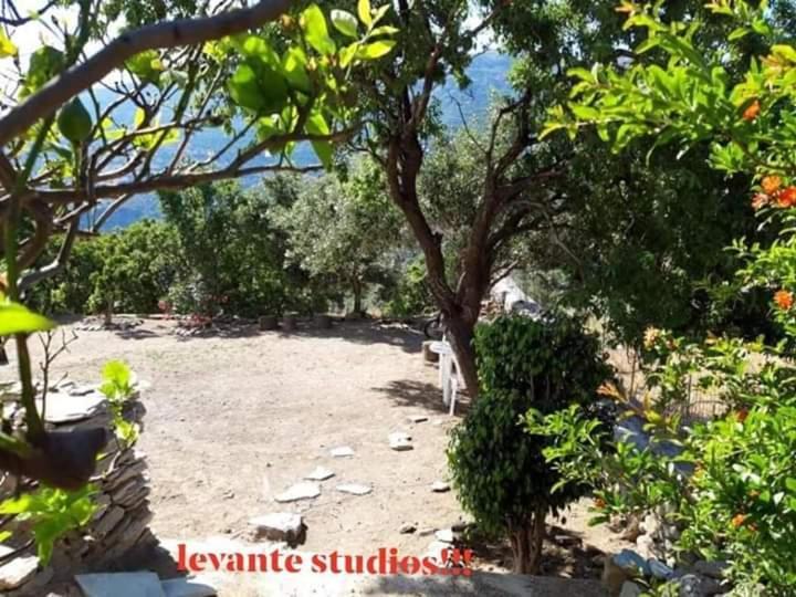 Levante Studios Αndros Ménites Exteriör bild